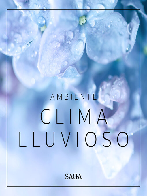 Cover image for Ambiente--Clima lluvioso